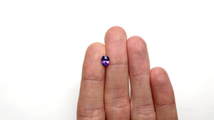 1.17ct 7.37x5.56x3.72mm Oval Brilliant Sapphire 27189-01