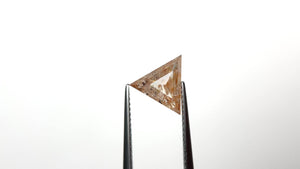 2.03ct 8.92x8.82x4.18mm Triangle Rosecut 24870-01
