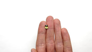 1.71ct 8.63x6.19x4.14mm Oval Brilliant Sapphire 25717-01