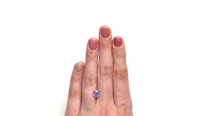 1.55ct 7.26x6.07x3.68mm Cushion Brilliant Sapphire 23524-01