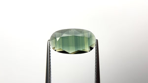 2.63ct 13.99x7.82x2.16mm Oval Portrait Cut Sapphire 23433-26