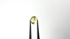 0.85ct 6.18x6.18x2.96mm Round Brilliant Sapphire 26696-01