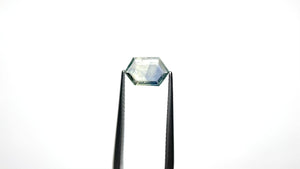 1.23ct 9.54x6.09x1.87mm Hexagon Portrait Cut Sapphire 25715-04