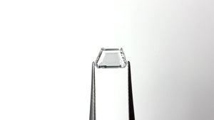 0.79ct 5.32x8.60x1.59mm SI2 D Geometric Portrait Cut 20745-04