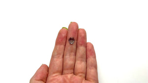 2.52ct 8.28x8.33x3.40mm Coffin Portrait Cut Sapphire 23677-10