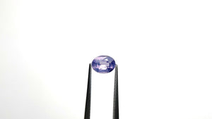 1.18ct 7.53x5.83x3.79mm Oval Brilliant Sapphire 25262-01