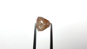 1.72ct 8.24x8.21x3.53mm Shield Rosecut 26296-06