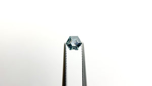 0.68ct 5.75x5.00x3.05mm Hexagon Step Cut Sapphire 23088-11