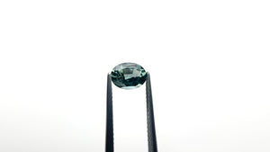 1.51ct 8.01x6.01x3.88mm Oval Brilliant Sapphire 26154-01