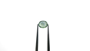 1.06ct 7.15x5.69x2.22mm Oval Portrait Cut Sapphire 24197-03