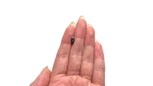 0.79ct 8.92x4.60x2.30mm Marquise Brilliant Sapphire 25203-01