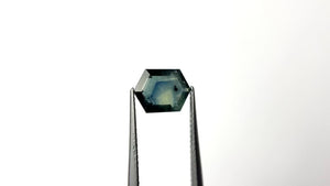 2.77ct 10.05x7.16x3.32mm Hexagon Portrait Cut Sapphire 22266-47