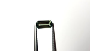 1.10ct 8.85x4.08x2.90mm Cut Corner Rectangle Step Cut Sapphire 27329-04