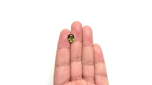 3.49ct 10.24x8.26x4.72mm Oval Brilliant Sapphire 23434-04
