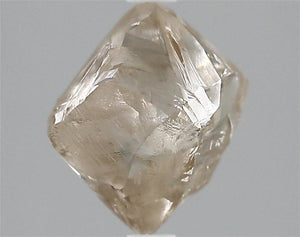 2.83ct Rough Diamond 28001