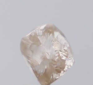 2.68ct Rough Diamond 21-28-5