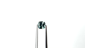0.84ct 5.15x5.14x3.64mm Cushion Brilliant Sapphire 23466-12
