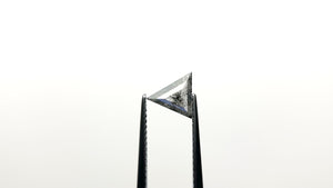 0.61ct 8.35x7.34x2.22mm Triangle Rosecut 23839-18