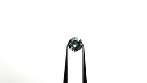 0.90ct 6.04x6.03x3.66mm Round Brilliant Sapphire 23785-01