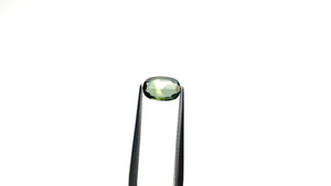 0.98ct 7.99x5.21x2.41mm Oval Rosecut Sapphire 26327-98