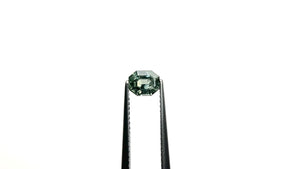 0.91ct 5.66x4.68x3.54mm Cut Corner Rectangle Step Cut Sapphire 23705-15