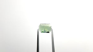 0.95ct 8.29x6.03x1.69mm Cut Corner Rectangle Portrait Cut Sapphire 23433-54