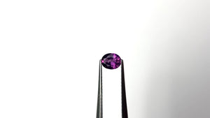 0.49ct 5.35x4.29x2.60mm Oval Brilliant Sapphire 27957-05