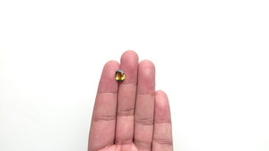 2.38ct 10.18x7.19x3.73mm Oval Brilliant Sapphire 23495-09