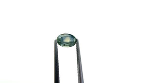 1.08ct 6.92x4.96x3.48mm Oval Brilliant Sapphire 26162-09