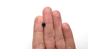 0.99ct 8.04x6.08x3.14mm Pear Brilliant Sapphire 25781-07