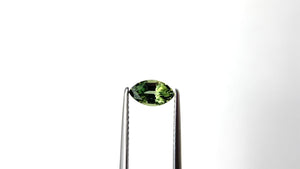 0.93ct 7.61x4.46x3.50mm Marquise Brilliant Sapphire 27340-07