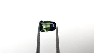 1.55ct 7.71x5.52x3.75mm Shield Step Cut Sapphire 25189-01