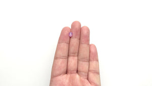 1.10ct 6.85x5.49x3.87mm Oval Brilliant Sapphire 23521-01