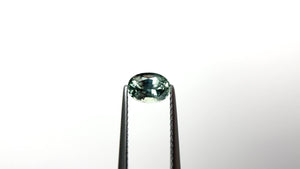 0.89ct 6.37x4.60x3.55mm Oval Brilliant Sapphire 23426-04
