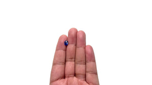 1.70ct 7.66x6.45x4.23mm Oval Brilliant Sapphire 28276-01