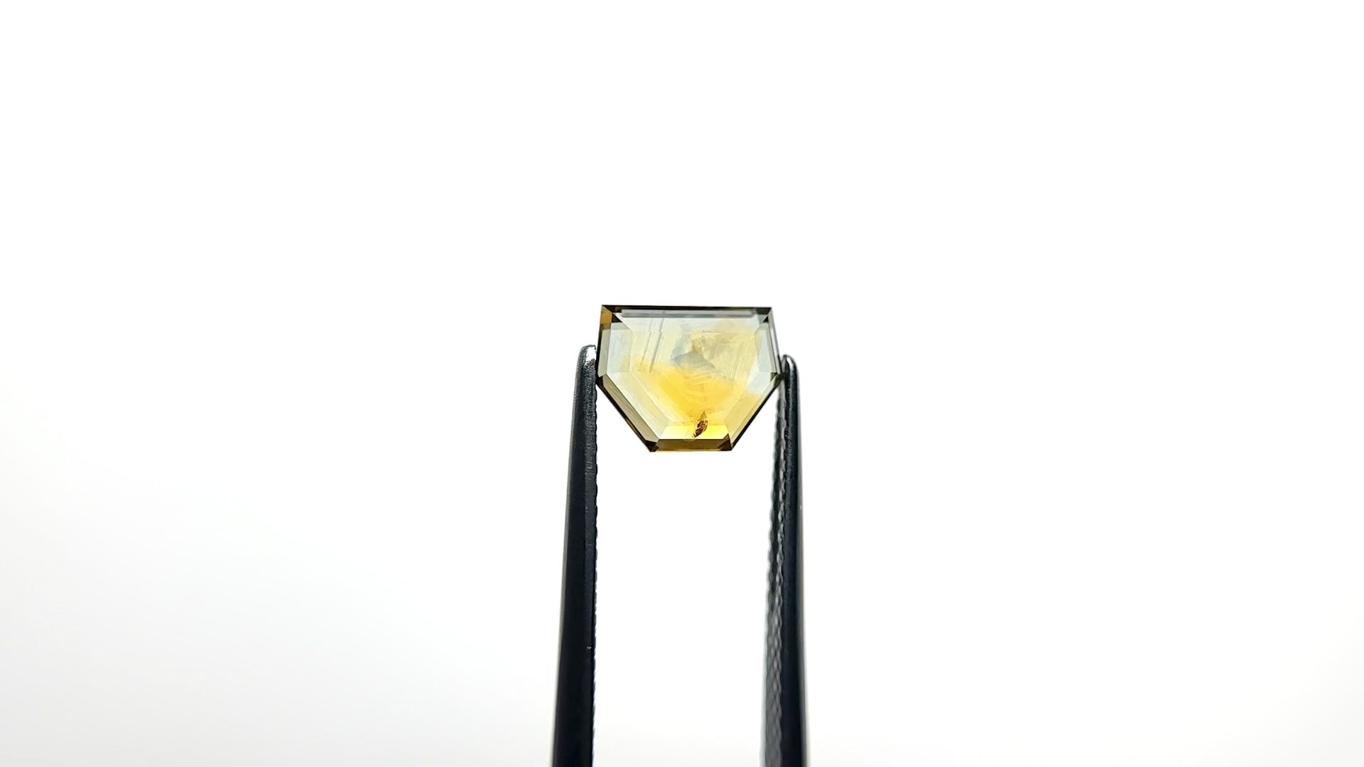 1.64ct 6.23x8.17x2.47mm Shield Portrait Cut Sapphire 23469-41