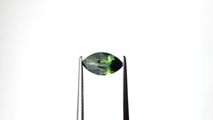 1.67ct 11.13x6.11x3.55mm Marquise Brilliant Sapphire 27313-02