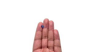 1.42ct 6.93x6.80x4.08mm Round Brilliant Sapphire 28277-01