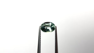 0.94ct 6.99x5.13x3.17mm Oval Brilliant Sapphire 23426-16