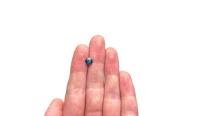 0.98ct 5.92x5.86x3.58mm Round Brilliant Sapphire 23460-02