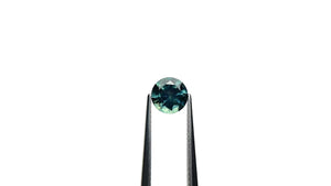 1.23ct 6.53x6.49x4.08mm Round Brilliant Sapphire 26524-01