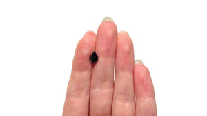 1.20ct 8.13x5.70x4.09mm Pear Brilliant 25471-03