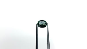 0.82ct 6.35x5.22x3.06mm Cushion Brilliant Sapphire 26618-02