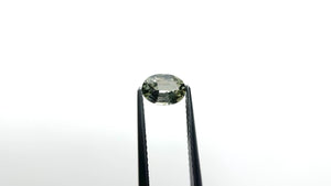 0.90ct 7.02x5.07x2.98mm Oval Brilliant Sapphire 26162-02