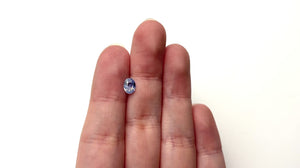 0.86ct 6.89x5.17x2.97mm Oval Brilliant Sapphire 27491-01
