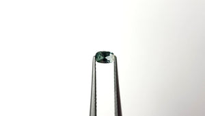 0.23ct 4.98x3.04x1.92mm Cushion Brilliant Sapphire 26766-06