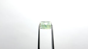 1.50ct 10.33x6.87x1.80mm Cushion Rosecut Sapphire 23433-06