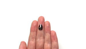 2.24ct 11.91x7.85x2.94mm Pear Rosecut 23180-02