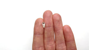 1.05ct 10.63x5.20x3.32mm VS1 M-N Shield Step Cut 25956-01