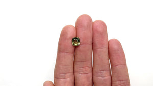 2.43ct 8.17x7.18x4.59mm Cushion Brilliant Sapphire 24818-01